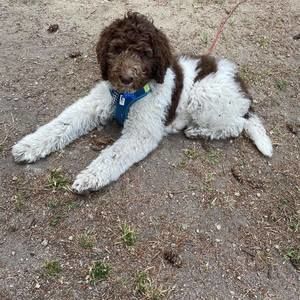 Meet your Posher, Kathy